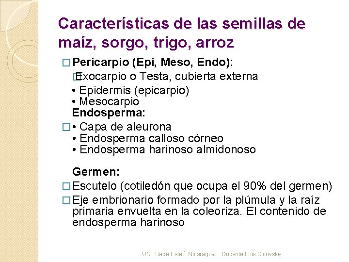 Características de las semillas de maíz, sorgo, trigo, arroz � Pericarpio (Epi, Meso, Endo):