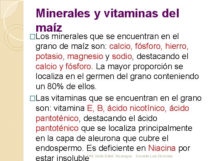 Minerales y vitaminas del maíz �Los minerales que se encuentran en el grano de