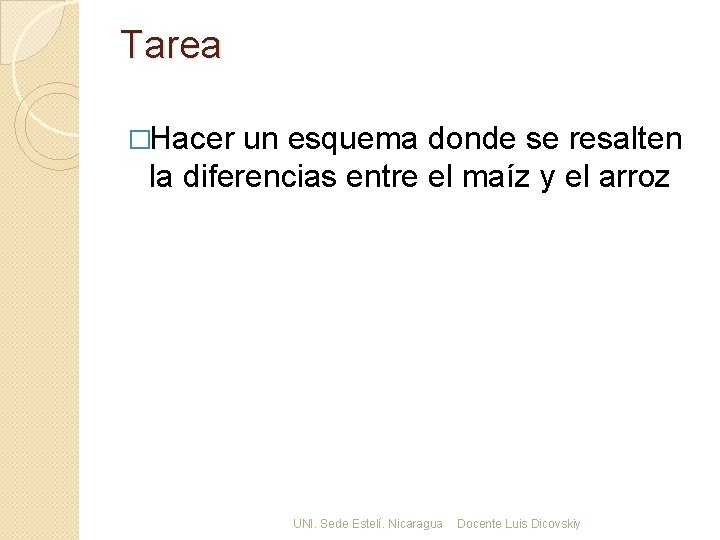 Tarea �Hacer un esquema donde se resalten la diferencias entre el maíz y el
