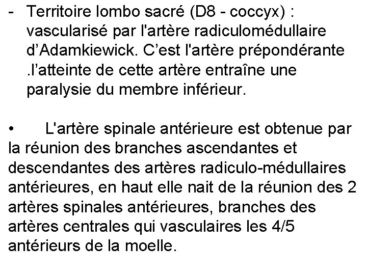 - Territoire lombo sacré (D 8 - coccyx) : vascularisé par l'artère radiculomédullaire d’Adamkiewick.