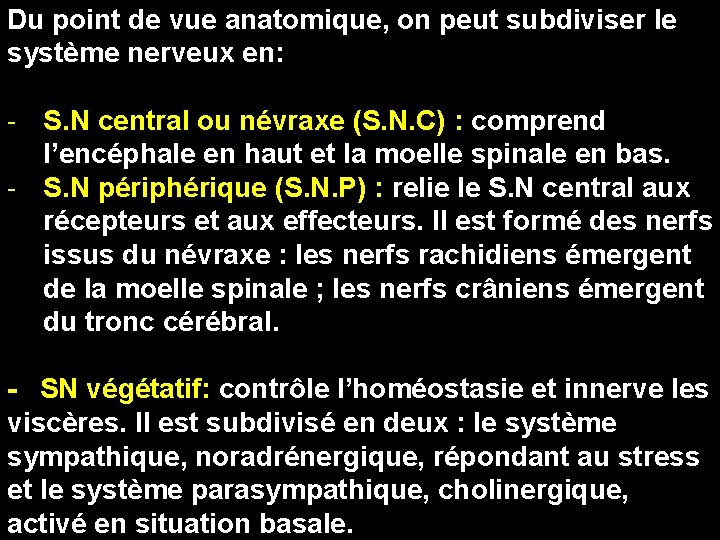 Du point de vue anatomique, on peut subdiviser le système nerveux en: - S.