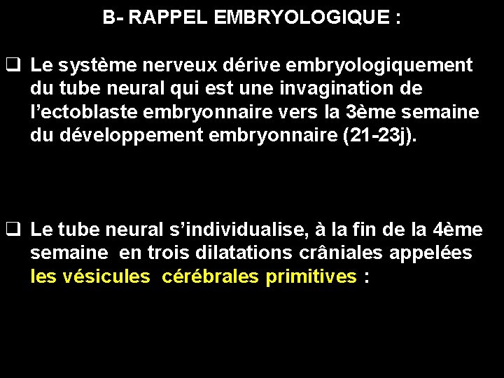 B- RAPPEL EMBRYOLOGIQUE : q Le système nerveux dérive embryologiquement du tube neural qui