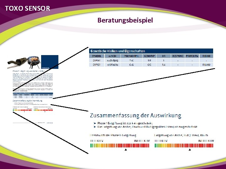 TOXO SENSOR Beratungsbeispiel 