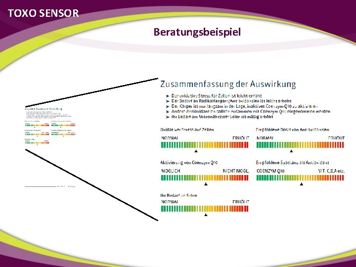 TOXO SENSOR Beratungsbeispiel 