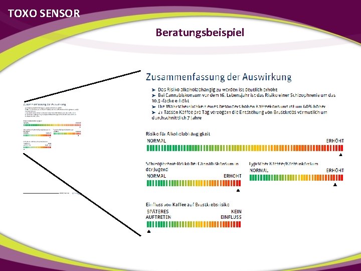 TOXO SENSOR Beratungsbeispiel 