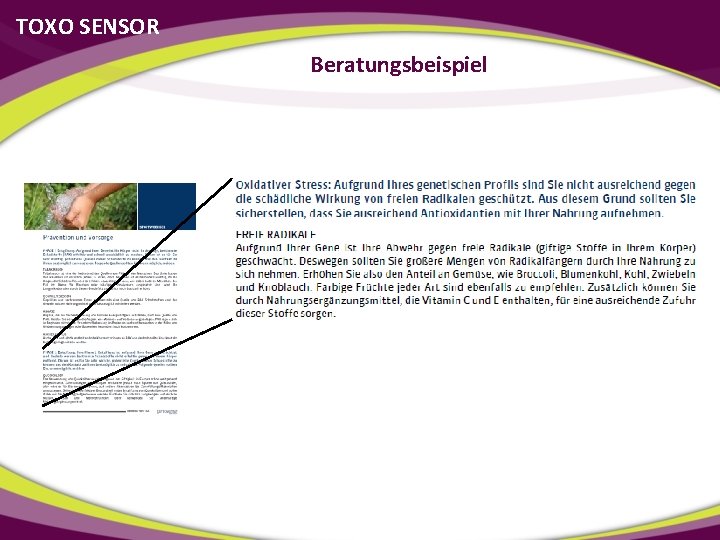 TOXO SENSOR Beratungsbeispiel 