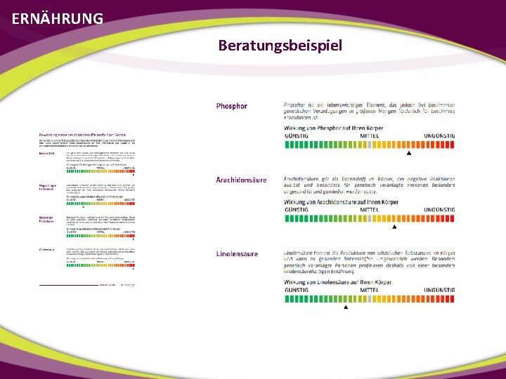 ERNÄHRUNG Beratungsbeispiel 