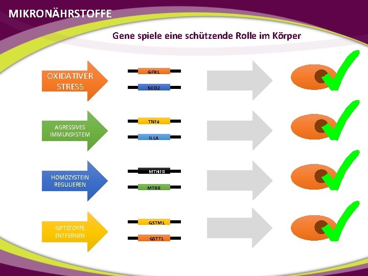 MIKRONÄHRSTOFFE Gene spiele eine schützende Rolle im Körper OXIDATIVER STRESS AGRESSIVES IMMUNSYSTEM HOMOZYSTEIN REGULIEREN