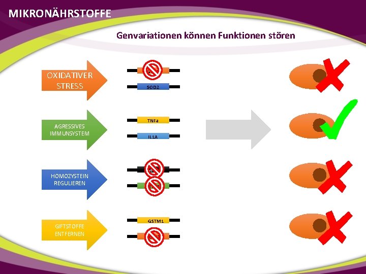 MIKRONÄHRSTOFFE Genvariationen können Funktionen stören OXIDATIVER STRESS AGRESSIVES IMMUNSYSTEM HOMOZYSTEIN REGULIEREN GIFTSTOFFE ENTFERNEN GPX