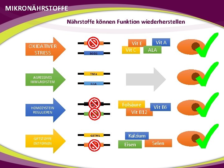 MIKRONÄHRSTOFFE Nährstoffe können Funktion wiederherstellen OXIDATIVER STRESS AGRESSIVES IMMUNSYSTEM HOMOZYSTEIN REGULIEREN GIFTSTOFFE ENTFERNEN GPX