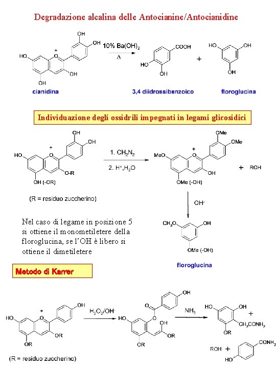 Degradazione alcalina delle Antocianine/Antocianidine Individuazione degli ossidrili impegnati in legami glicosidici Nel caso di