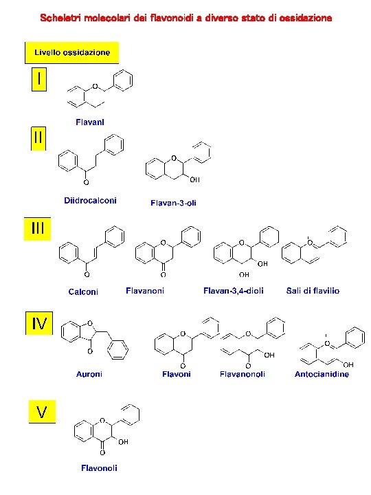 Scheletri molecolari dei flavonoidi a diverso stato di ossidazione 