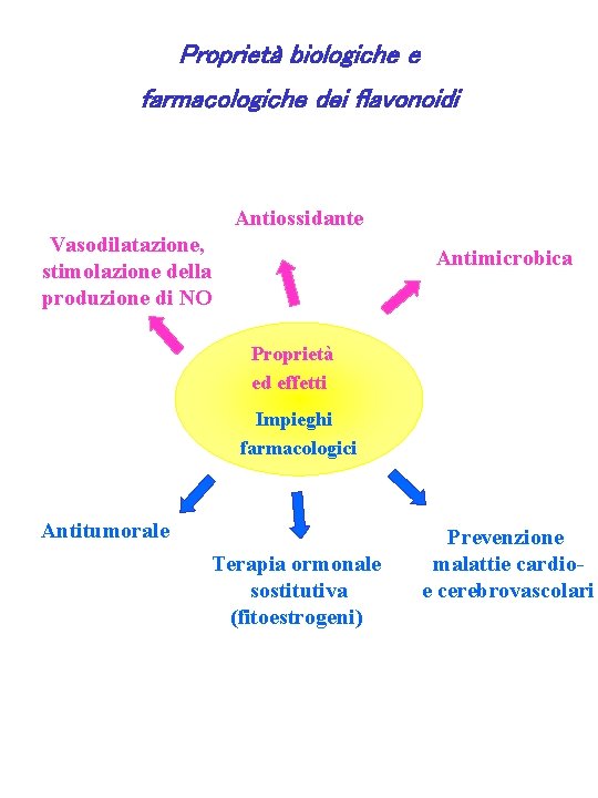 Proprietà biologiche e farmacologiche dei flavonoidi Antiossidante Vasodilatazione, stimolazione della produzione di NO Antimicrobica