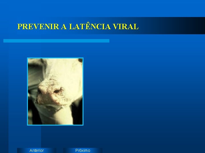 PREVENIR A LATÊNCIA VIRAL Anterior Próximo 