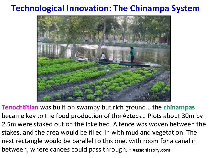 Technological Innovation: The Chinampa System Tenochtitlan was built on swampy but rich ground… the