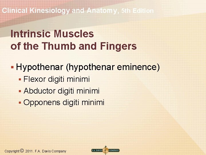 Clinical Kinesiology and Anatomy, 5 th Edition Intrinsic Muscles of the Thumb and Fingers