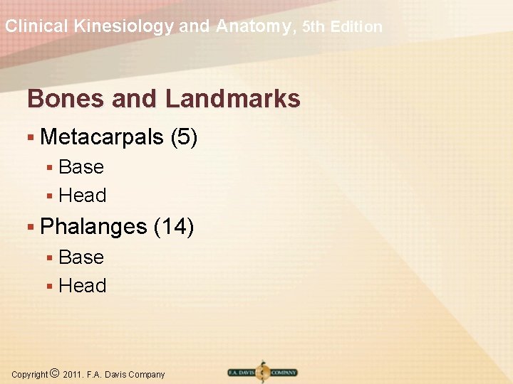 Clinical Kinesiology and Anatomy, 5 th Edition Bones and Landmarks § Metacarpals (5) Base