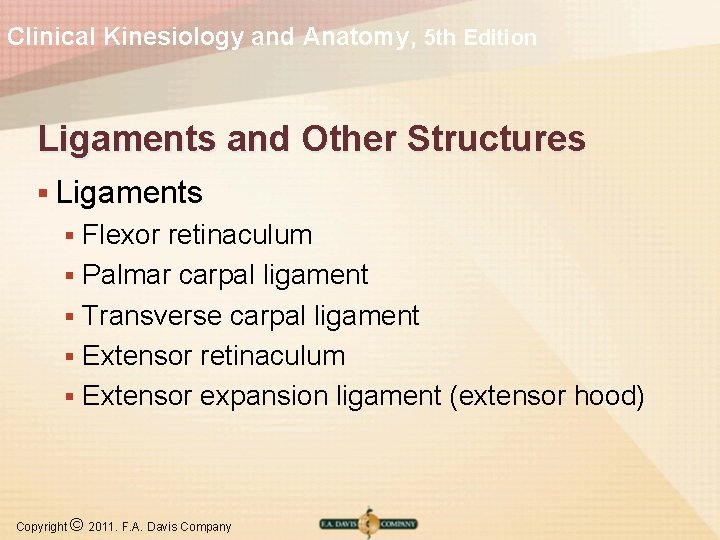 Clinical Kinesiology and Anatomy, 5 th Edition Ligaments and Other Structures § Ligaments Flexor