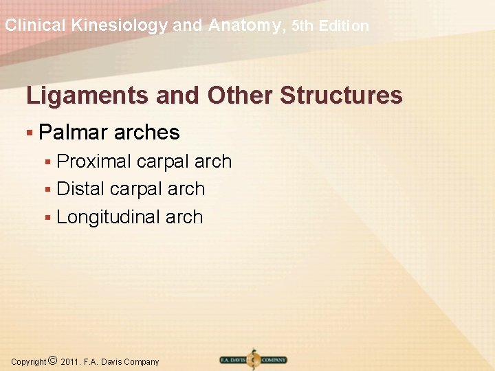 Clinical Kinesiology and Anatomy, 5 th Edition Ligaments and Other Structures § Palmar arches