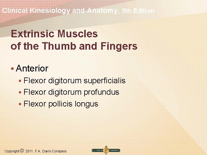 Clinical Kinesiology and Anatomy, 5 th Edition Extrinsic Muscles of the Thumb and Fingers