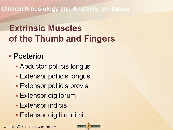 Clinical Kinesiology and Anatomy, 5 th Edition Extrinsic Muscles of the Thumb and Fingers