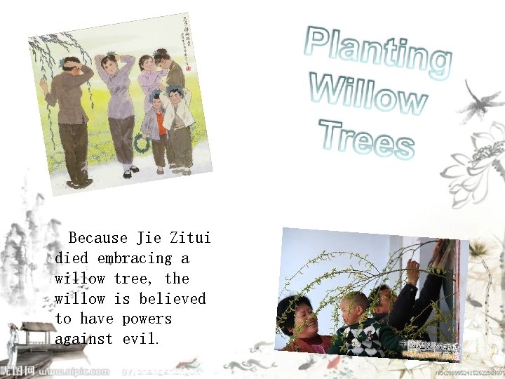 Because Jie Zitui died embracing a willow tree, the willow is believed to have
