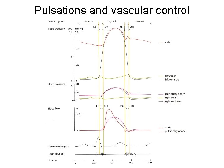 Contours of Breathing 7 Circulation G J Tammeling