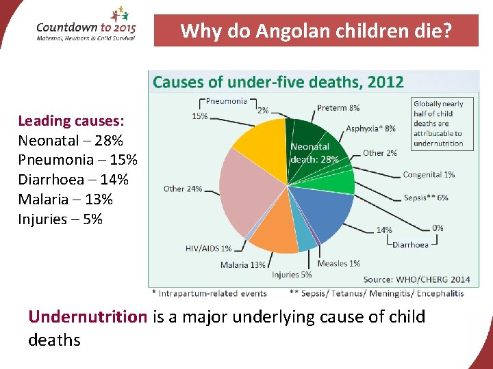 Why do Angolan children die? Leading causes: Neonatal – 28% Pneumonia – 15% Diarrhoea