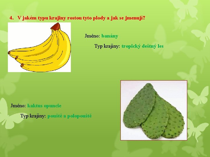 4. V jakém typu krajiny rostou tyto plody a jak se jmenují? Jméno: banány