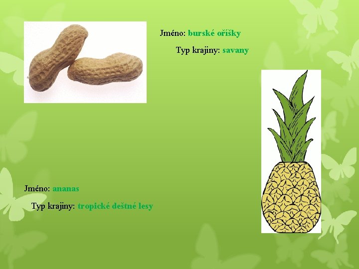 Jméno: burské oříšky Typ krajiny: savany Jméno: ananas Typ krajiny: tropické deštné lesy 