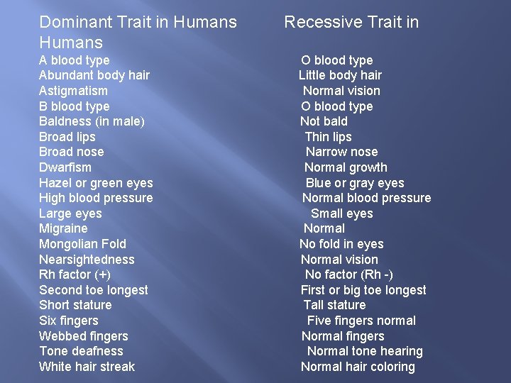 Dominant Trait in Humans A blood type Abundant body hair Astigmatism B blood type