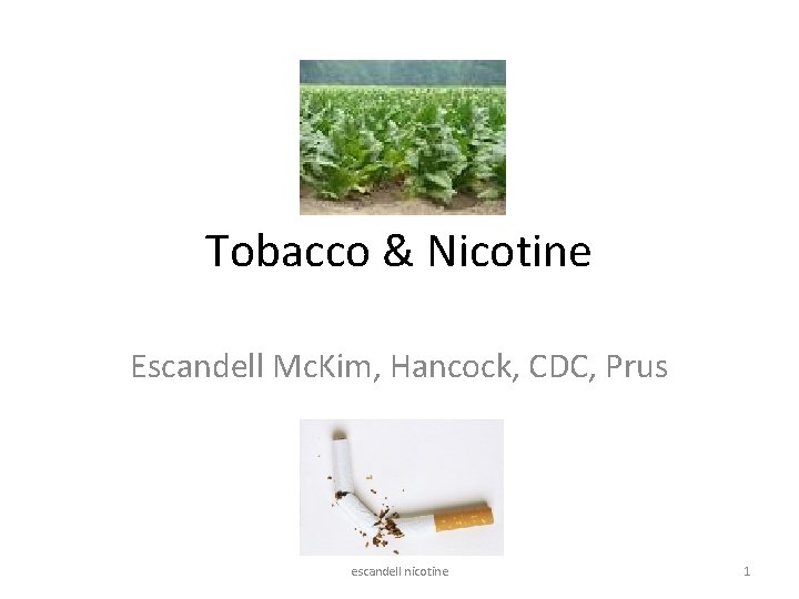 Tobacco & Nicotine Escandell Mc. Kim, Hancock, CDC, Prus escandell nicotine 1 