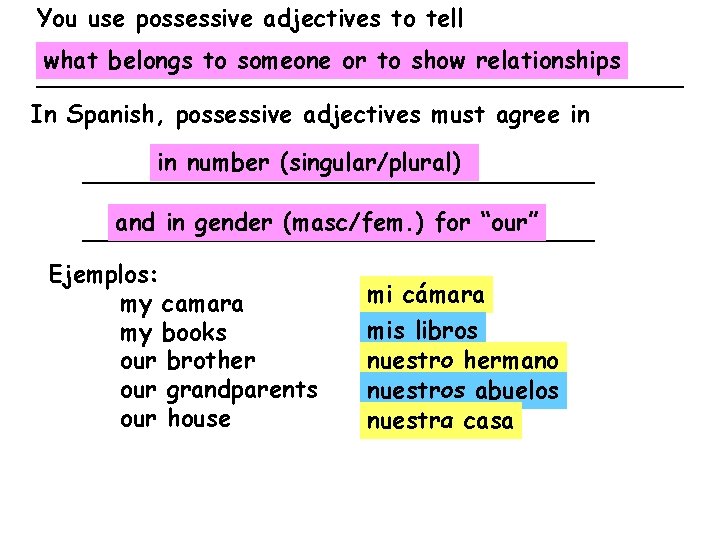 You use possessive adjectives to tell what belongs to someone or to show relationships