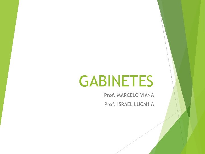 GABINETES Prof. MARCELO VIANA Prof. ISRAEL LUCANIA 