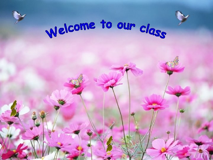 Good Afternoon Everybody WELl COME TO OUR CLASS 