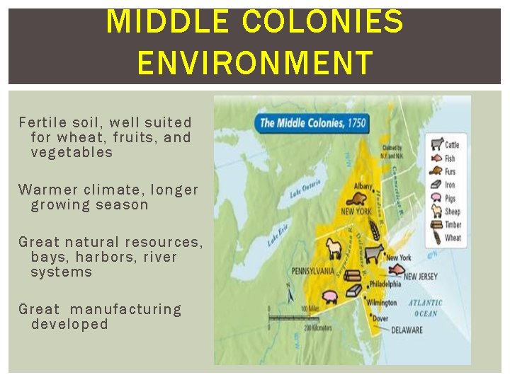 MIDDLE COLONIES ENVIRONMENT Fertile soil, well suited for wheat, fruits, and vegetables Warmer climate,