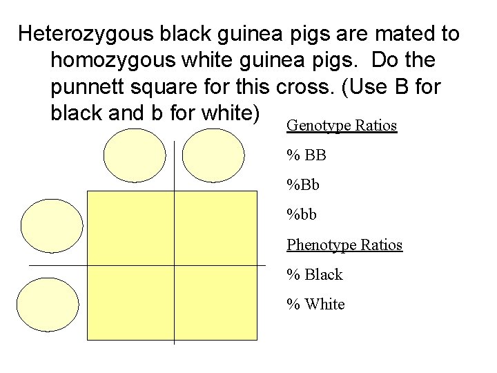 Heterozygous black guinea pigs are mated to homozygous white guinea pigs. Do the punnett