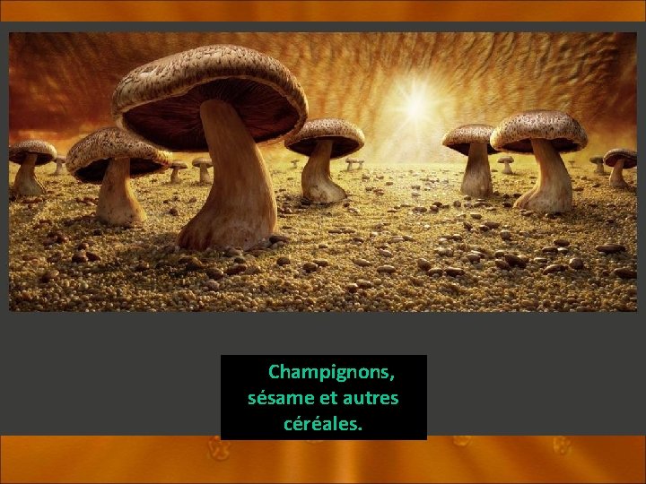 Champignons, sésame et autres céréales. 