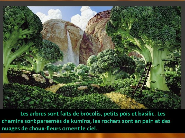 Les arbres sont faits de brocolis, petits pois et basilic. Les chemins sont parsemés