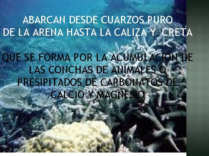 ABARCAN DESDE CUARZOS PURO DE LA ARENA HASTA LA CALIZA Y CRETA QUE SE