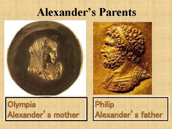 Alexander’s Parents Olympia Alexander’s mother Philip Alexander’s father 