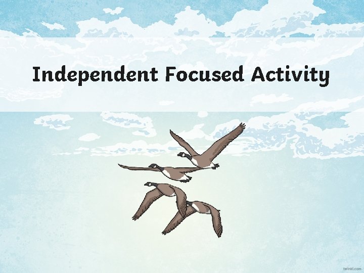Independent Focused Activity 