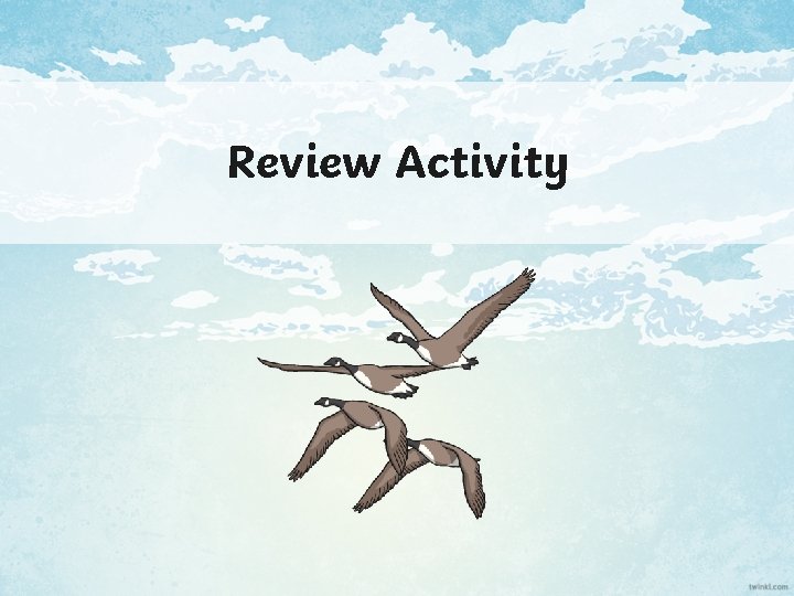 Review Activity 