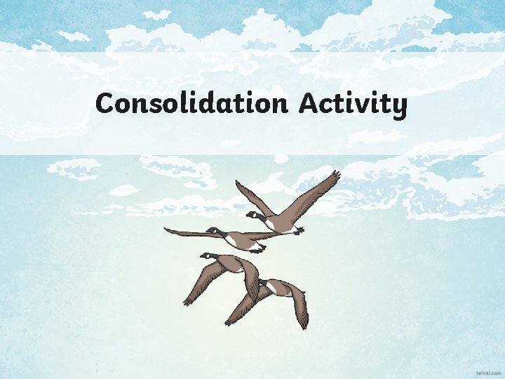 Consolidation Activity 