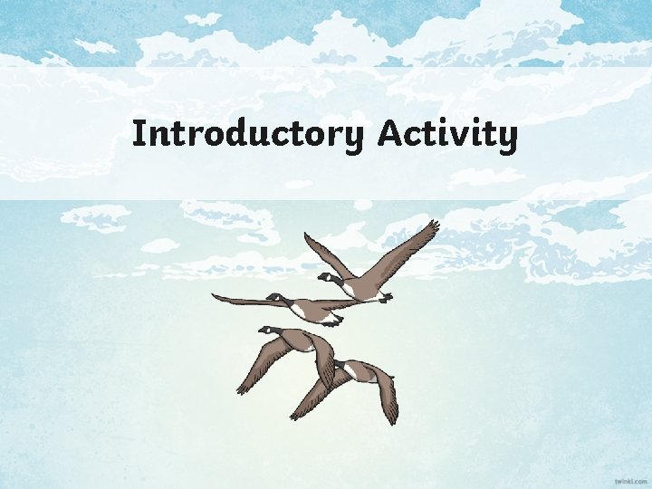 Introductory Activity 