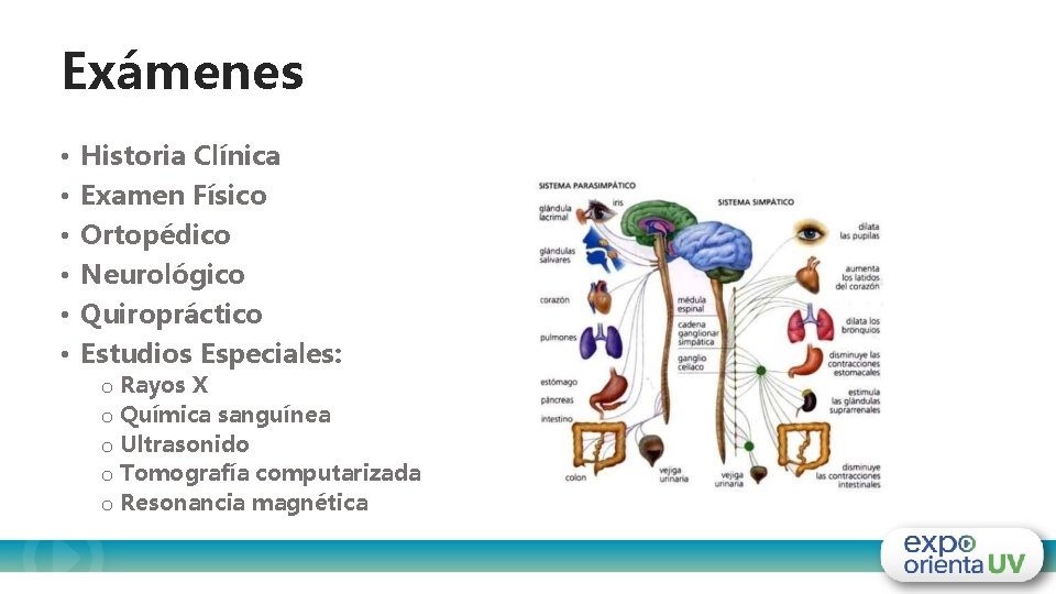 Exámenes • • • Historia Clínica Examen Físico Ortopédico Neurológico Quiropráctico Estudios Especiales: o