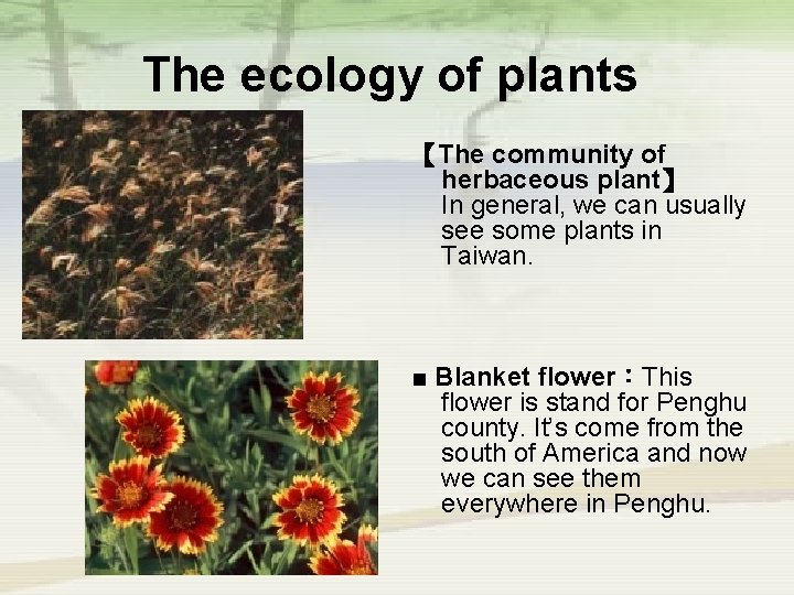 The ecology of plants 【The community of herbaceous plant】 In general, we can usually
