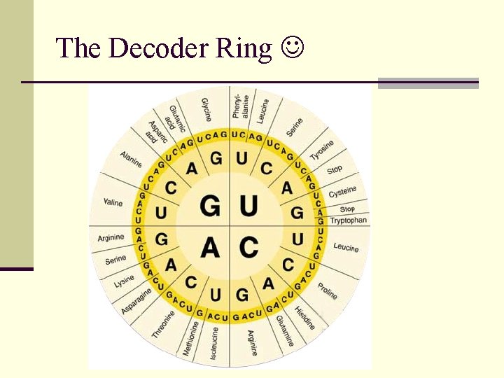 The Decoder Ring 