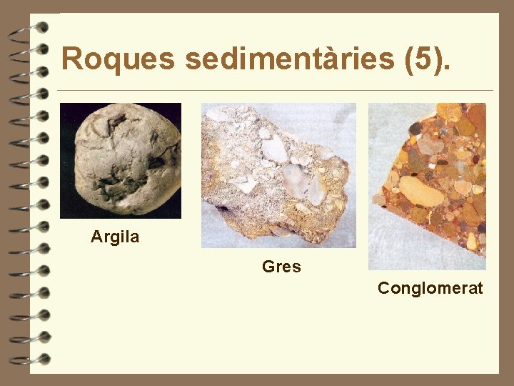 Roques sedimentàries (5). Argila Gres Conglomerat 