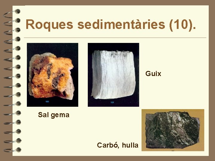 Roques sedimentàries (10). Guix Sal gema Carbó, hulla 